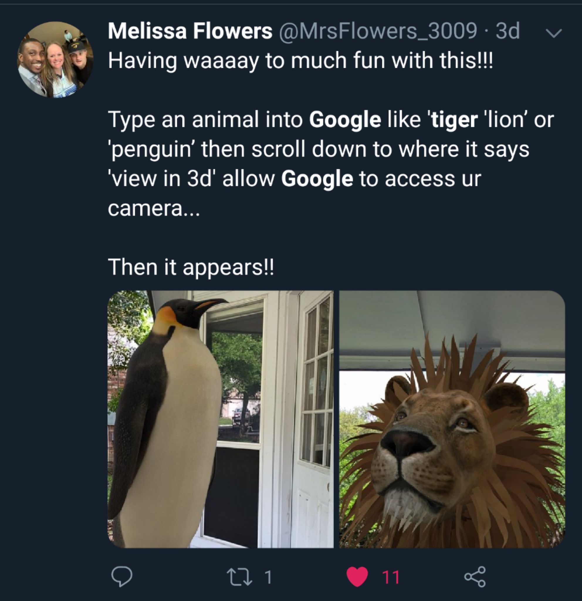 Search AR Animals